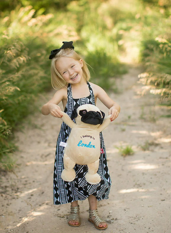 Pug Puppy Huggable
